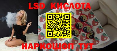 крисы Краснодар